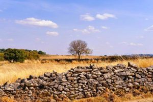 III encuentro transfronterizo